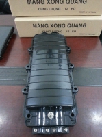 MĂNG XÔNG QUANG 12FO 2 VÀO 2 RA