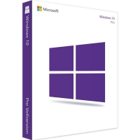 Windows 10 Pro 64-bit DSP OEI DVD